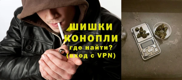 ПСИЛОЦИБИНОВЫЕ ГРИБЫ Волосово