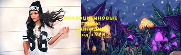 ПСИЛОЦИБИНОВЫЕ ГРИБЫ Волосово