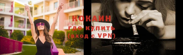 ПСИЛОЦИБИНОВЫЕ ГРИБЫ Волосово
