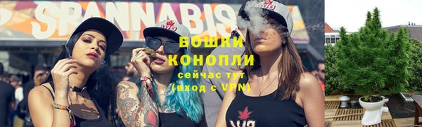 ПСИЛОЦИБИНОВЫЕ ГРИБЫ Волосово