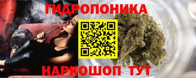 дживик Кандалакша