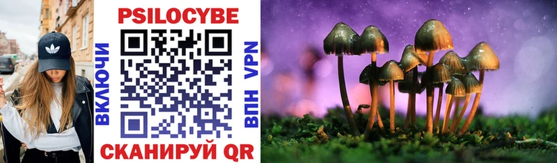 Галлюциногенные грибы Magic Shrooms  площадка формула  Мариинск 