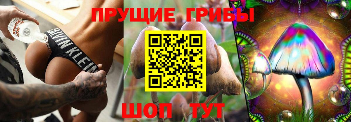 Галлюциногенные грибы Magic Shrooms  цены   Галлюциногенные грибы Psilocybe  Мариинск 