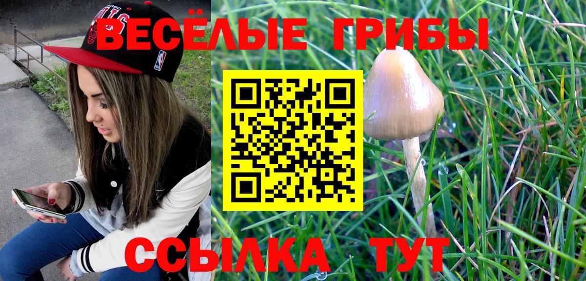 Галлюциногенные грибы прущие грибы Мариинск